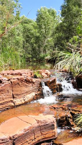 Pool at Fortescue Falls, Karijini NP, WA.